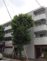 ベルマーレ学芸大