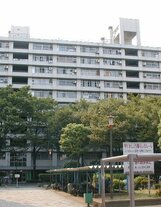 亀戸2丁目公団6号棟