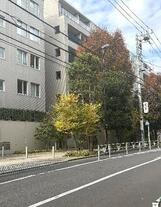 センチュリーフォレスト テラスF 南向き