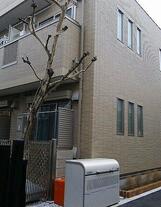 インブルーメンハイン